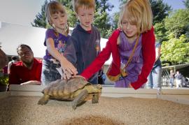 Oregon Zoo